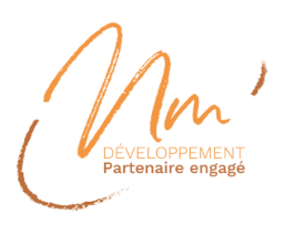 Logo NM Développement